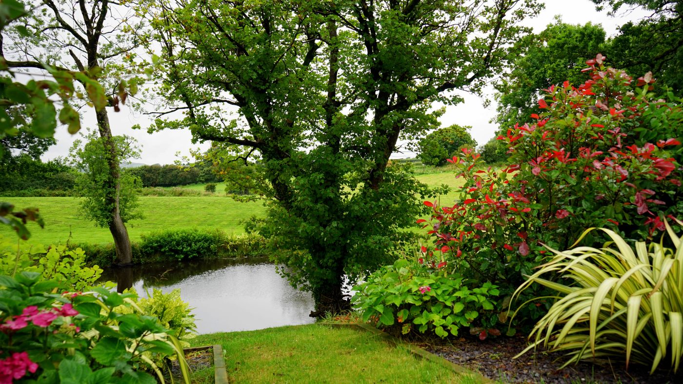 TEMP PLACEHOLDER - completed lush garden and water feature